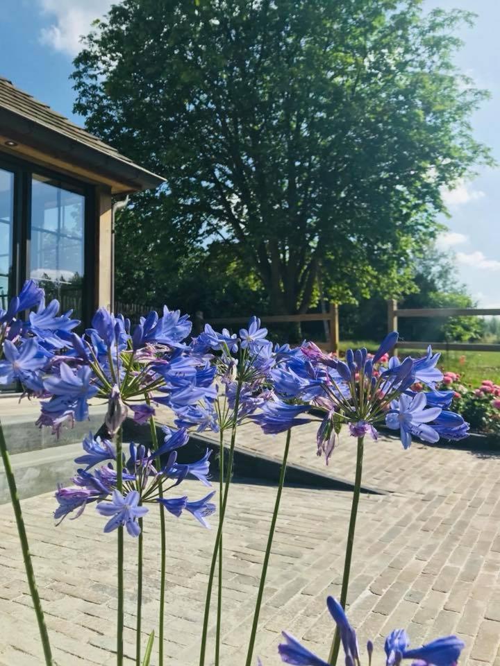 B&B De Windheer Sint-Martens-Lennik Экстерьер фото